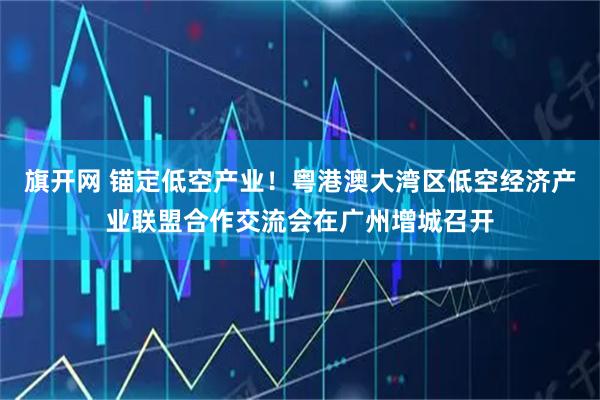 旗开网 锚定低空产业！粤港澳大湾区低空经济产业联盟合作交流会在广州增城召开