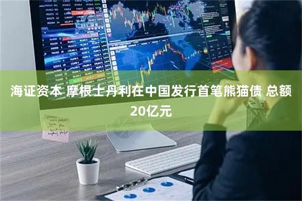 海证资本 摩根士丹利在中国发行首笔熊猫债 总额20亿元