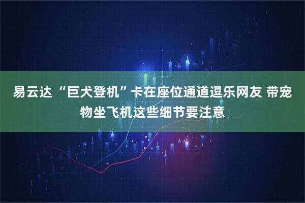 易云达 “巨犬登机”卡在座位通道逗乐网友 带宠物坐飞机这些细节要注意