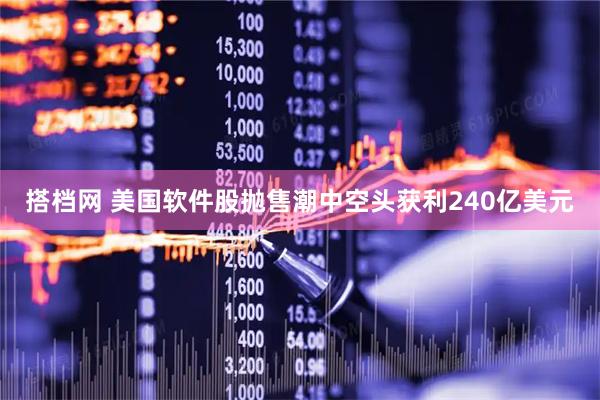 搭档网 美国软件股抛售潮中空头获利240亿美元
